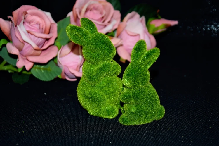 2ba1a0746dc0295ef70044909834db46