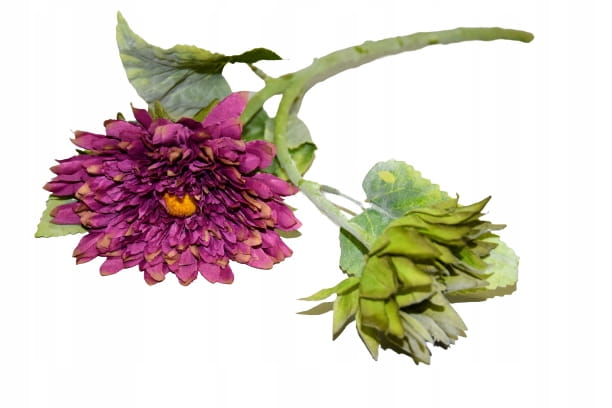 92b2848855d33505ef53f80aca630cea