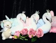 0e42aa5abb23e2e883c3147f3f355ffa