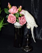 56f19e2fde83abd6f91e4577344bb439