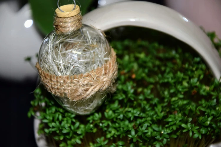 307f7efc58a2a73285754d0d8d713006