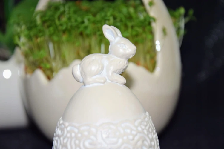 14af67b1cff08a06faf3472f4429a7bc