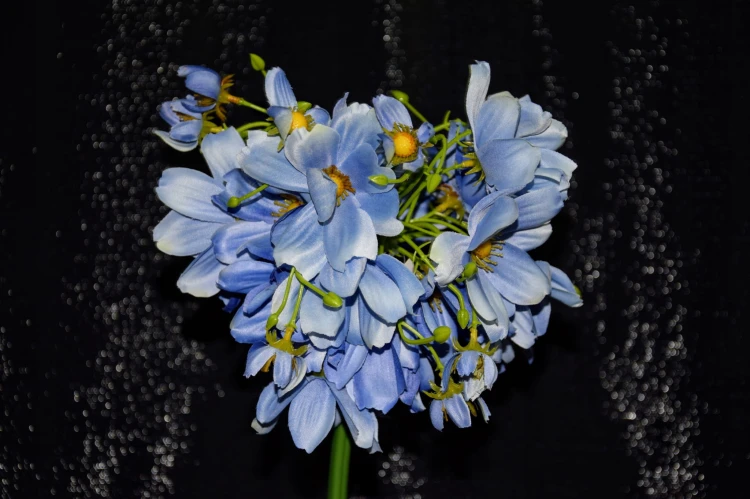 459ce794a9c437704ed2d4c26e6c04e2