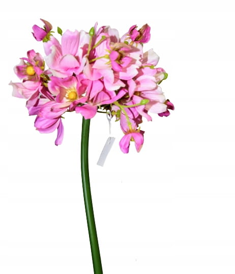 7d08e46811174270a7bbc40985172d41