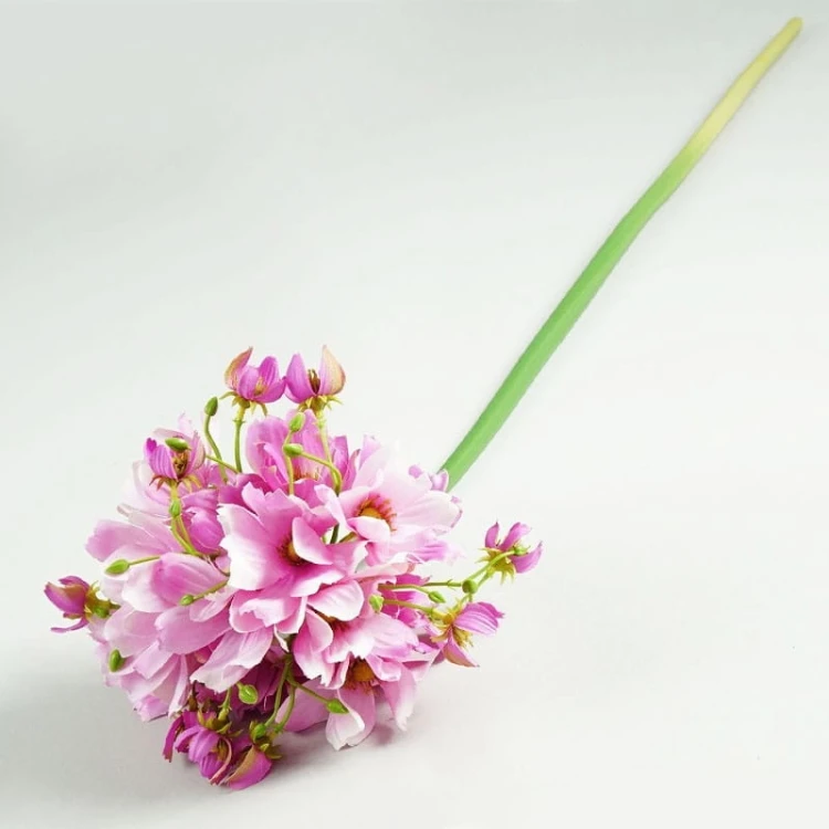 f07832e71277d0acae10fb28e89c5263