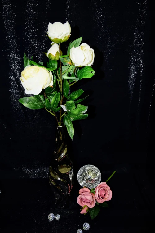 e01bc21b5f19e4b47b9f6e781a1469f5