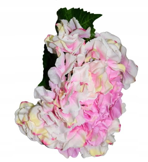 acb069c0fb6474abdc8efc10cc40f435