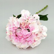 479b9047f864e57f626231d1328bc536