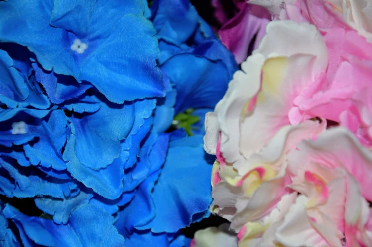 56928d8c76dfc1bfaad200186b844cee