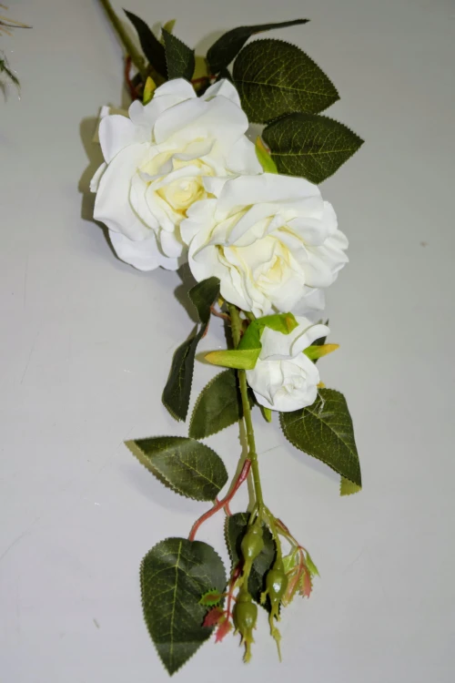 a4cc2a797bf9895ecc74b4f89a0d0f30