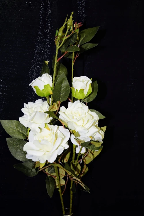 c1ab1a6be82d6aca5c2eefb00868782e