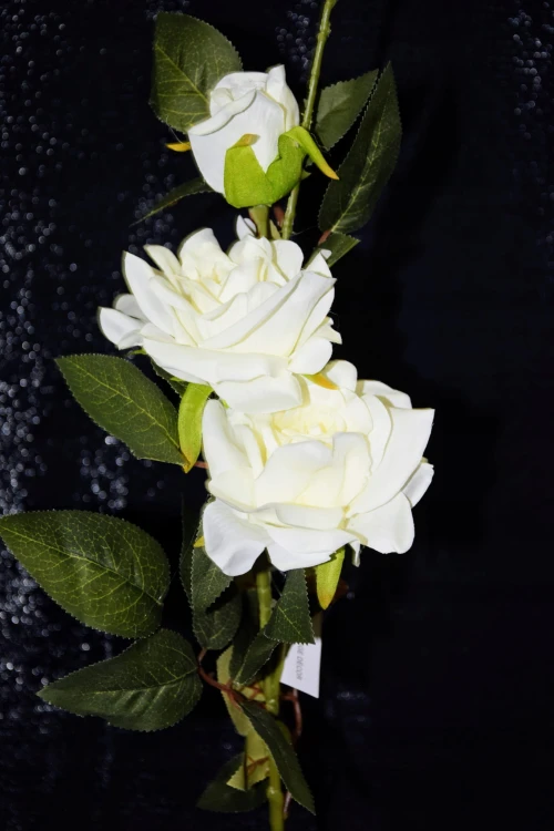 cddb30504563907210146cebb39743fd