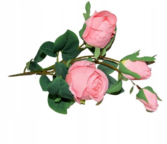 ded0547362830d3a9dc00703e106906b