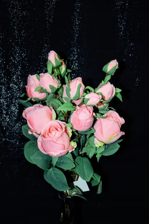 2c06a869b36ba0ba7ac8b9e754e43d3b