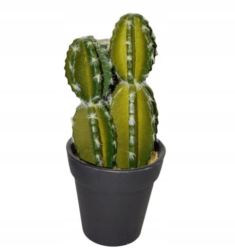 dcfbaf2c59d93898dc209989ca21681b