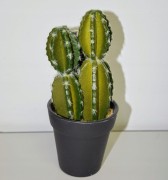 6f6f34106b9b5d9cc09ee4a045414ec9