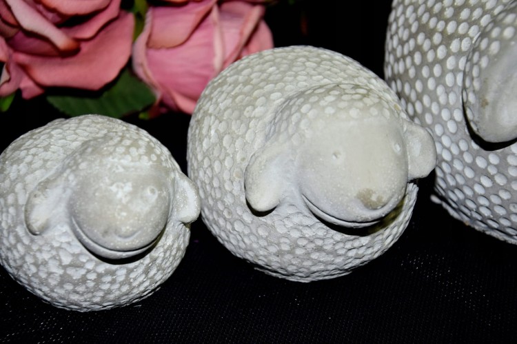 34f7aa430d512719e2045d29be79663b