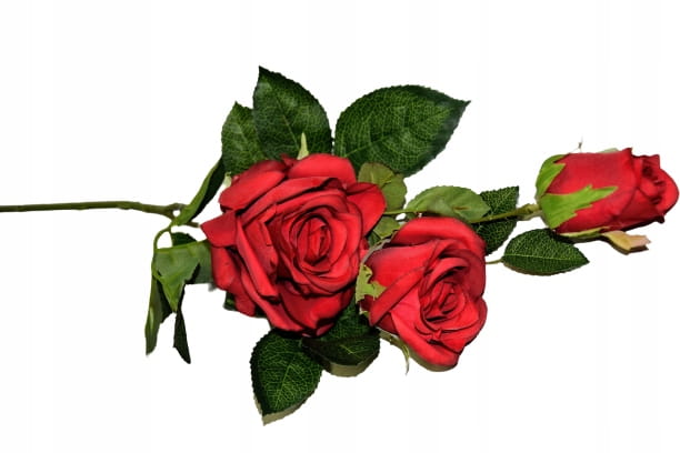 4ef9cc032e1335b5e0d348246883ed60