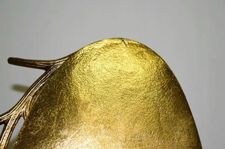 cad83f8711f4132b0058d580499d9188