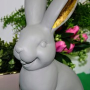 61638cc2726ca06fee398560ca010534