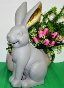 19014c212e3108e761d55428edae4a97