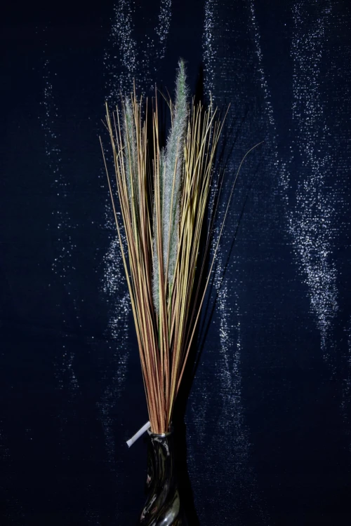 61931386b87ec9e15b0f687a6daf5ff7