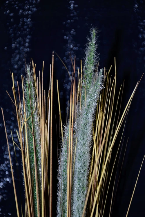 e4aa819830c43d762db6bd9a9365f247