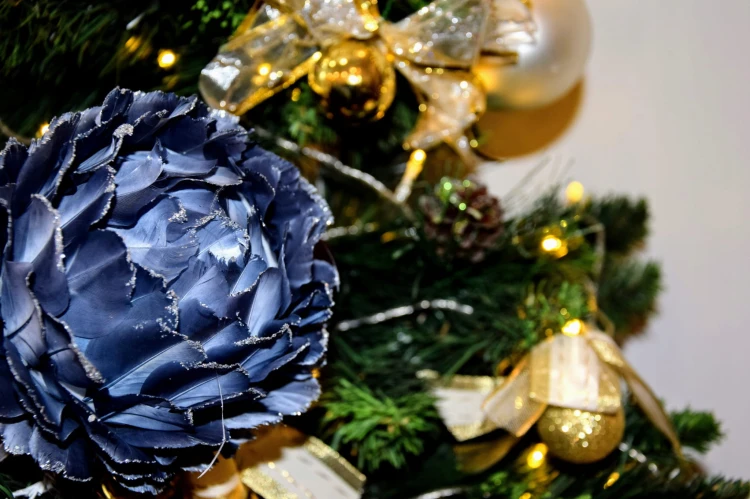 dd41690e560cc54c5118d01e74e4d12a