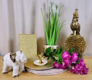 620e23cb92ce992fd160058259bdabf2