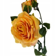 361ed9db9dd43ed1690c4f1015cca39a