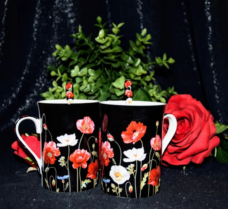 5517b9198e663adb805a7d96e868f3e1