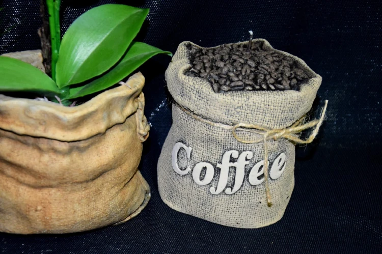 4e7e3661a869d4e4b0723b61bd56bcf2