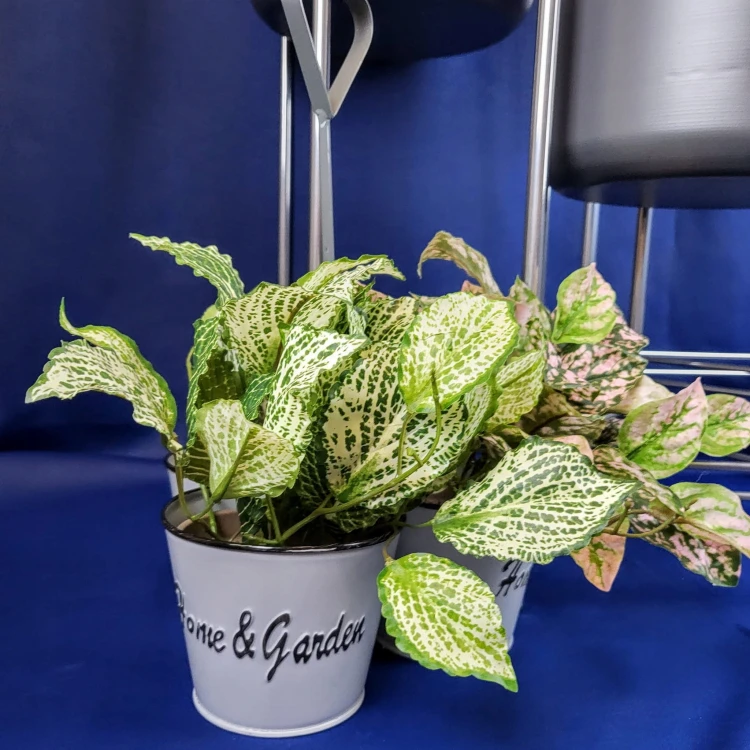 10a05a4dc40b3e643ad3751fe5f641a8