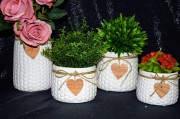7d614b960886238c498001a3c4693e2e