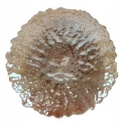 5d5eafdc51c61cf2063731acb8c17590