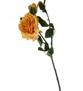 9cf875c23c06016a17c19147596ae156