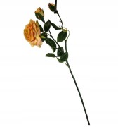 e7d792493e4d36671fbe654b628e61ff