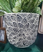 f658feb216db1503edc2baadcbb4e343