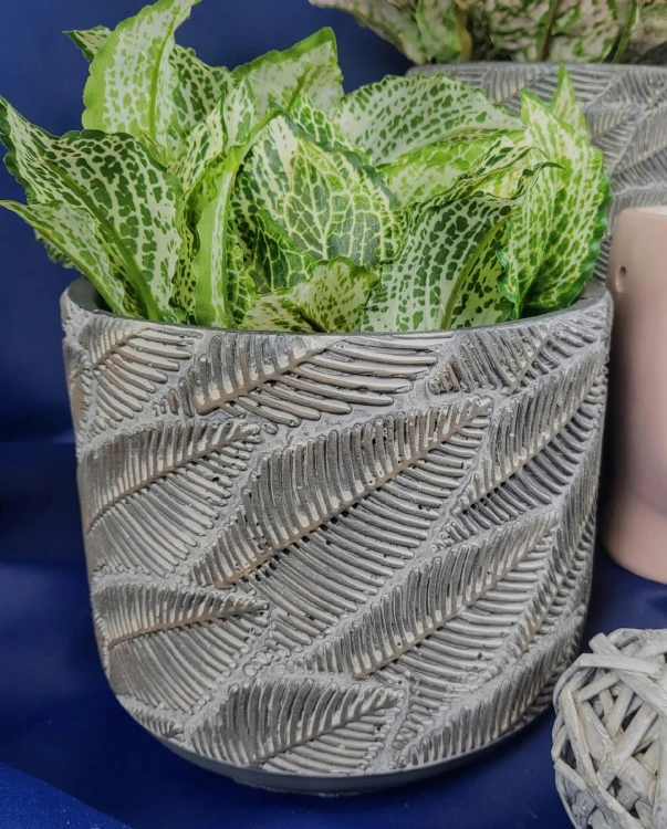 4f63fa863fef6cf21cabba54785a8cd8