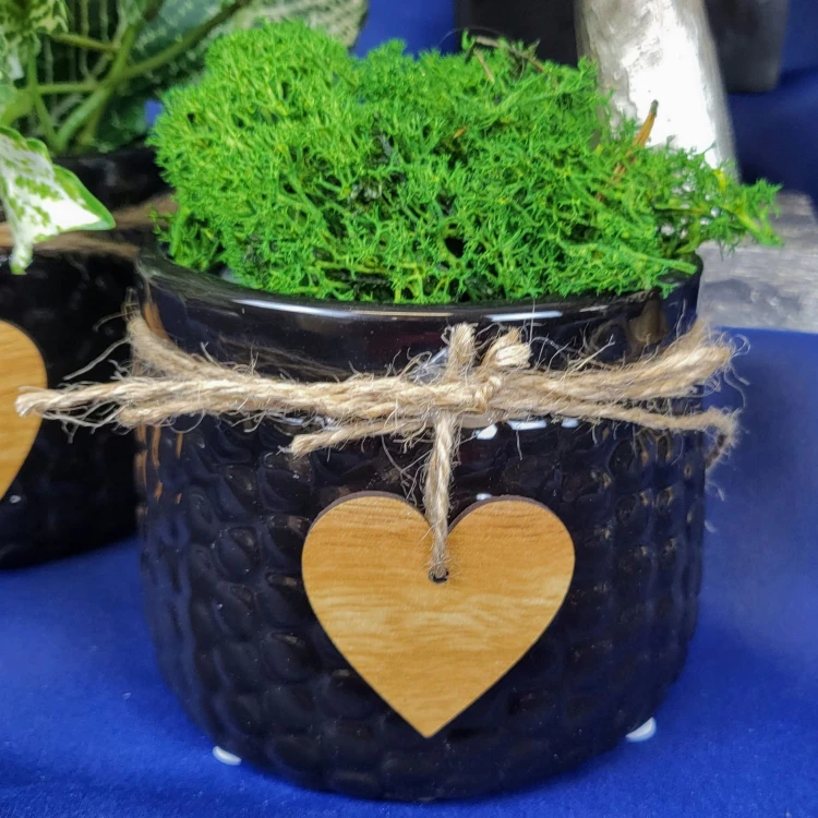 7ee5ac242463cbc3594b0d581873511d