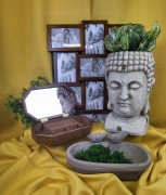 a093186e2b9c6eb1e19ef1378c38815b