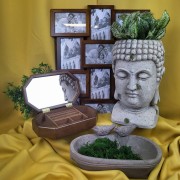 992abc5e8ed254eecb47292ee0d472d2