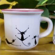 6cb8dc0f3d5277cecc2108629f93c6b6