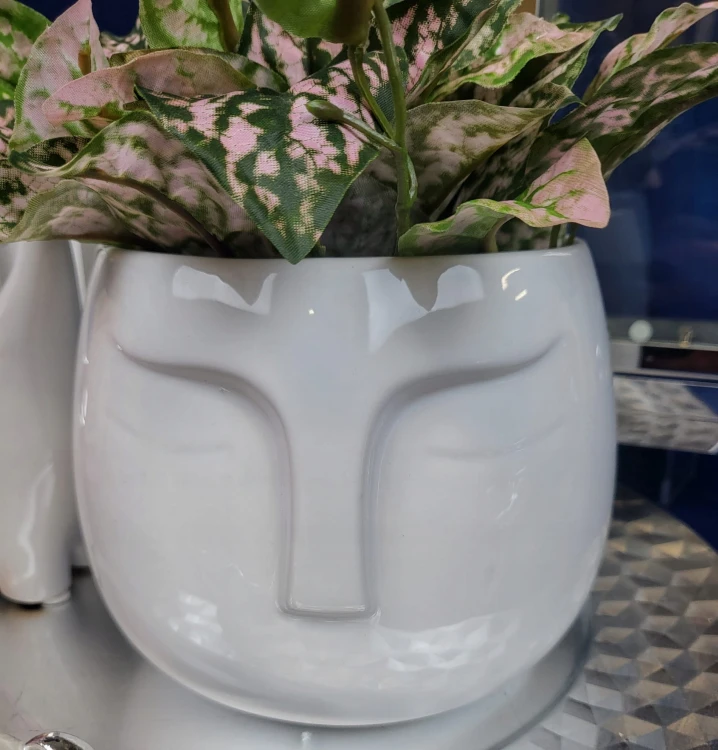 4a962579bb6f9dfd5c79a74600714d6a