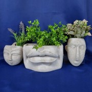 33c493d3b30f3bb30ca4ea4c309536bd