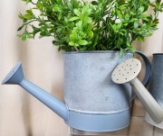 8f38765ed7b8fd94df06ba8c6dc403e1