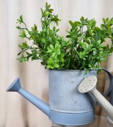 56eabd36b01f25ba7653d25e5178b3e6