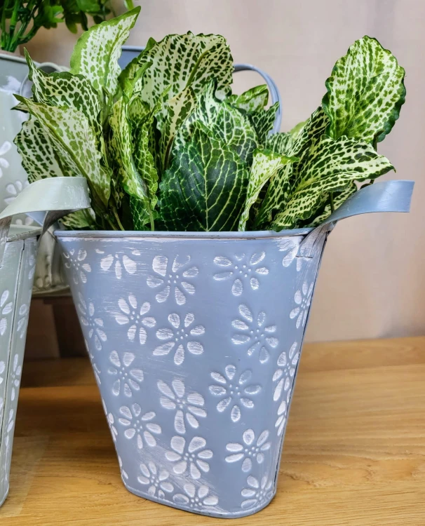 9b8d995731d8d97d4f544b061219e6a7