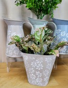 d729d351812a6f1ff586b86312f3b6c3