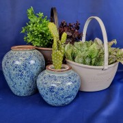 76299f625c246a0226f222e62f2344e4